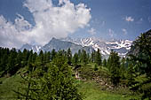 Alpe Devero - lungo il sentiero che sale a Crampiolo. 